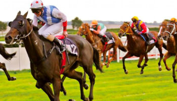 Spotting Valuable Information on Horse Racing Racecards