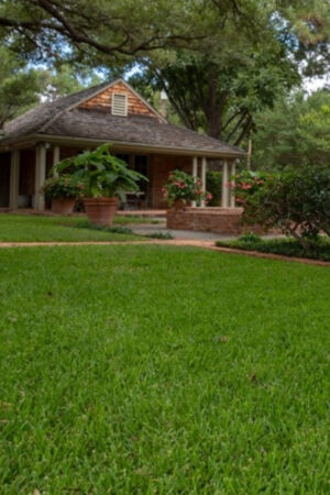Revamp Your Home Yard with Expert Residential Landscape Services