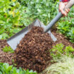 Create a Flourishing Outdoor Space with Quality Gold Coast Mulch for Every Season
