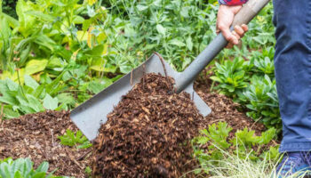 Create a Flourishing Outdoor Space with Quality Gold Coast Mulch for Every Season