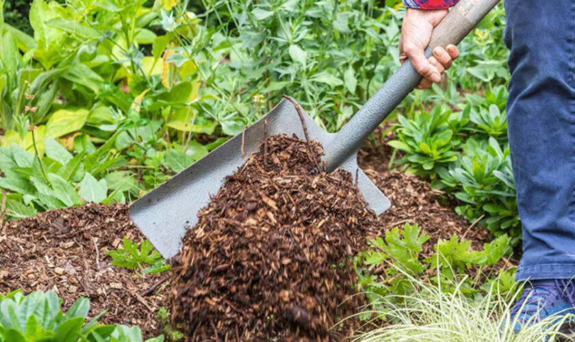 Create a Flourishing Outdoor Space with Quality Gold Coast Mulch for Every Season