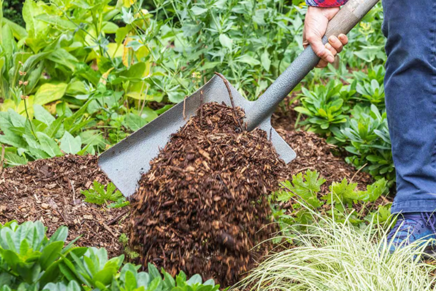 Create a Flourishing Outdoor Space with Quality Gold Coast Mulch for Every Season