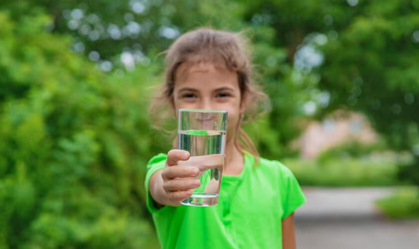 Why a Good Water Filter Matters for Your Health and Wellness