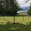 What You Need to Know Before Choosing a Metal Fence for Your Yard