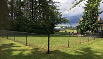What You Need to Know Before Choosing a Metal Fence for Your Yard
