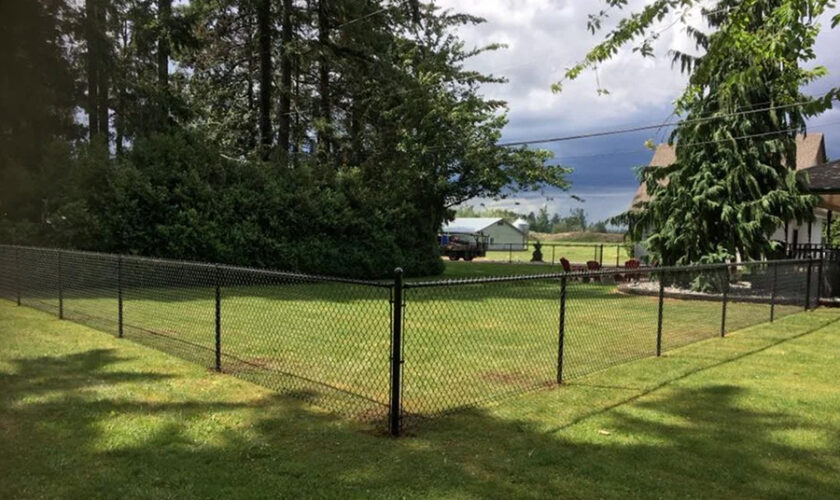 What You Need to Know Before Choosing a Metal Fence for Your Yard