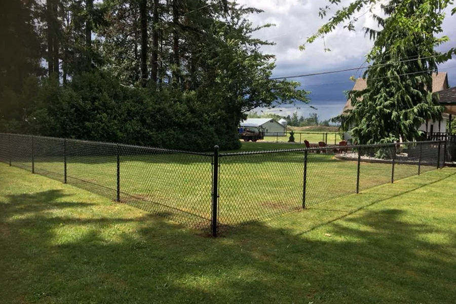 What You Need to Know Before Choosing a Metal Fence for Your Yard