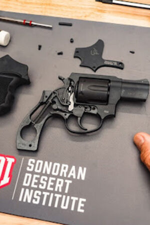 A Sonoran Desert Institute Analysis