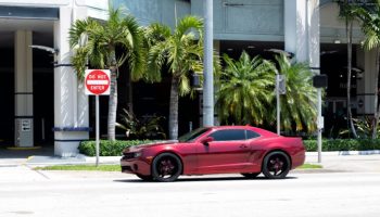 What to Expect When You Rent a BMW for Business or Leisure