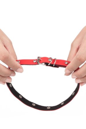 Pet Funeral in Singapore 4 Ways to Create a Personal and Meaningful Goodbye