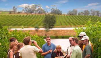Yarra Valley for Non Wine Drinkers Distilleries Cider Chocolate and More
