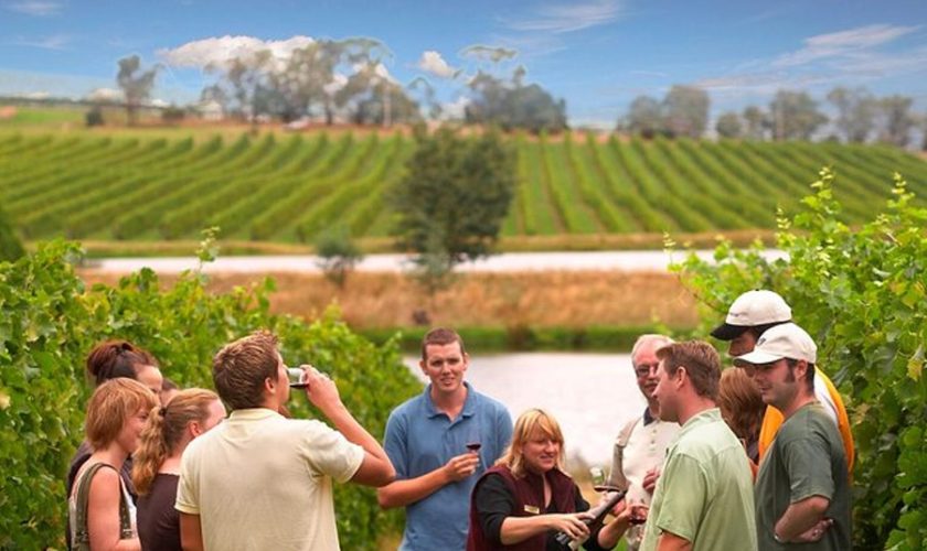 Yarra Valley for Non Wine Drinkers Distilleries Cider Chocolate and More