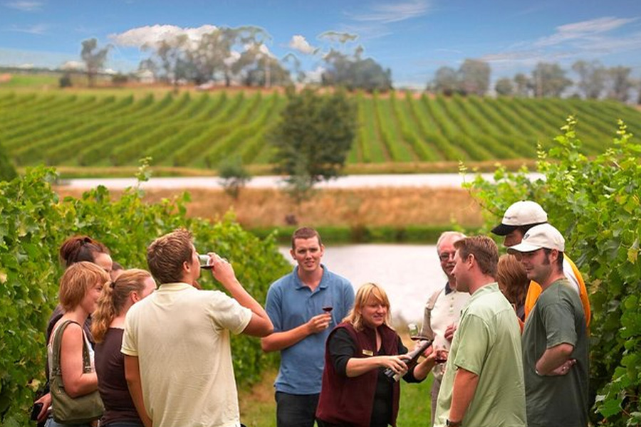 Yarra Valley for Non Wine Drinkers Distilleries Cider Chocolate and More